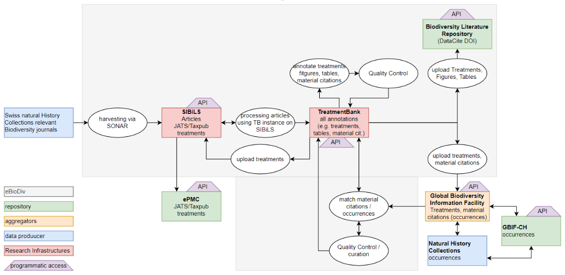 Interactions between institutions in eBioDiv